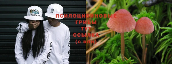 прущая мука Зерноград