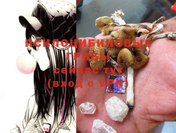 дживик Зеленокумск