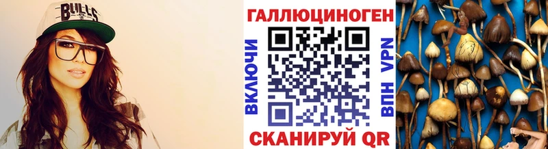 Псилоцибиновые грибы Psilocybine cubensis  omg рабочий сайт  Куртамыш 